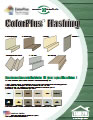 ColorPlus Flashing Flyer